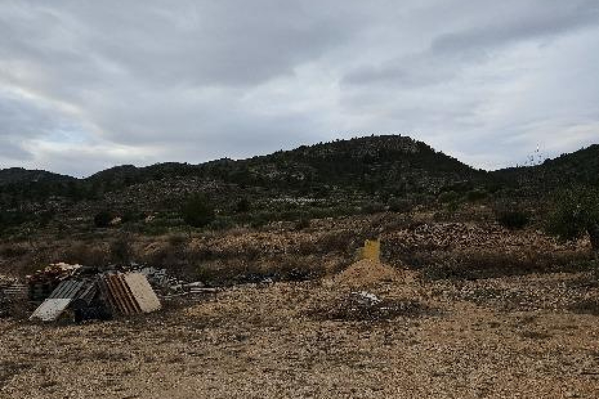 Revente - Villa - Monóvar - 03640