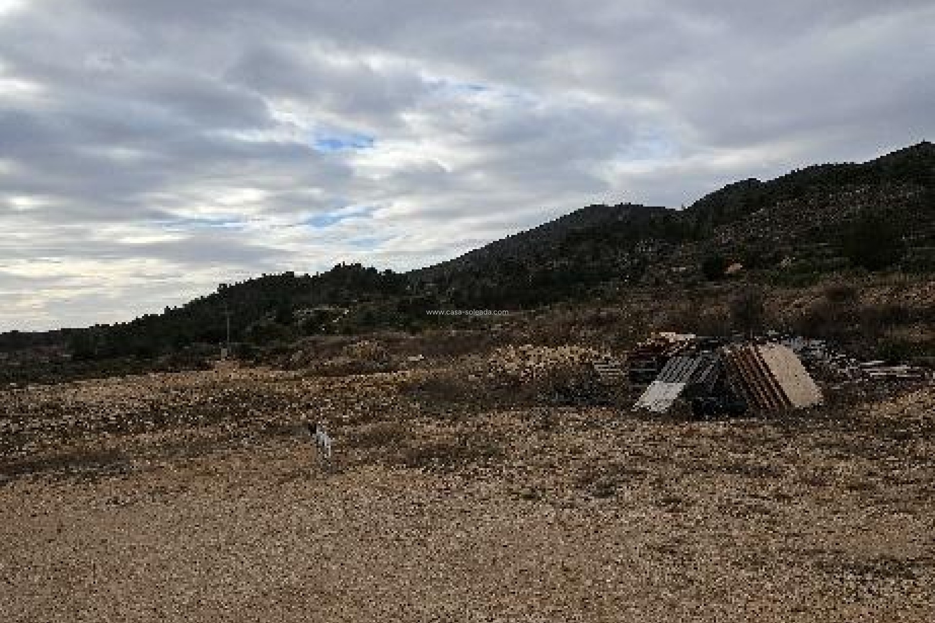 Revente - Villa - Monóvar - 03640