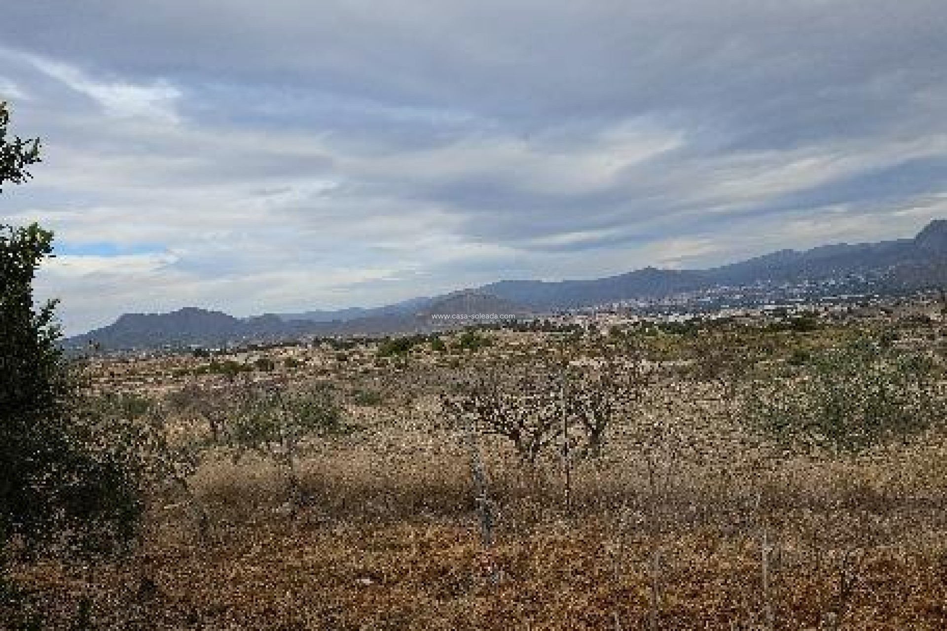Revente - Villa - Monóvar - 03640