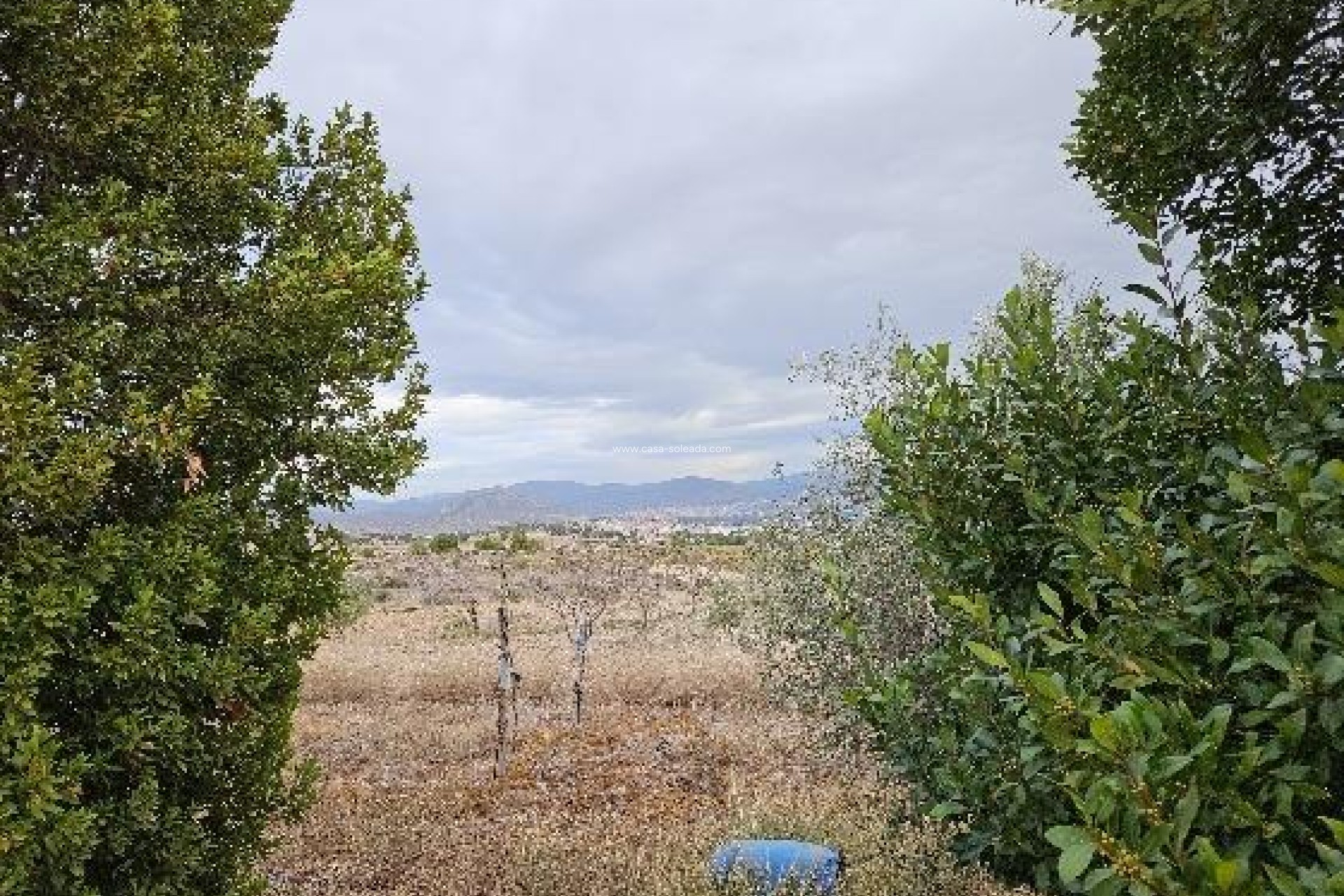 Revente - Villa - Monóvar - 03640