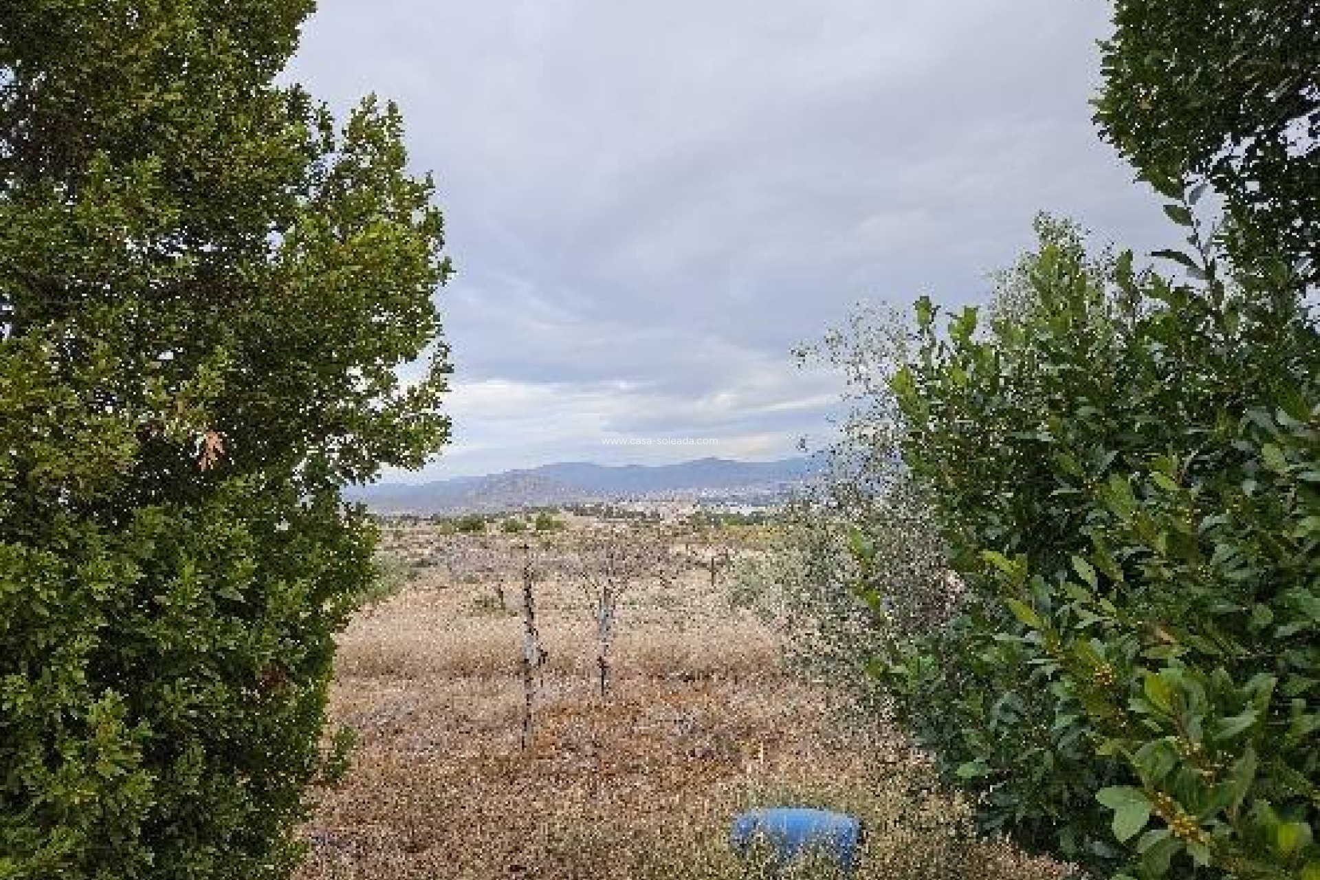 Revente - Villa - Monóvar - 03640