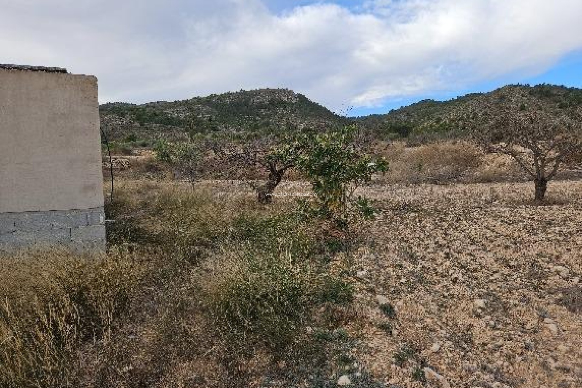 Revente - Villa - Monóvar - 03640