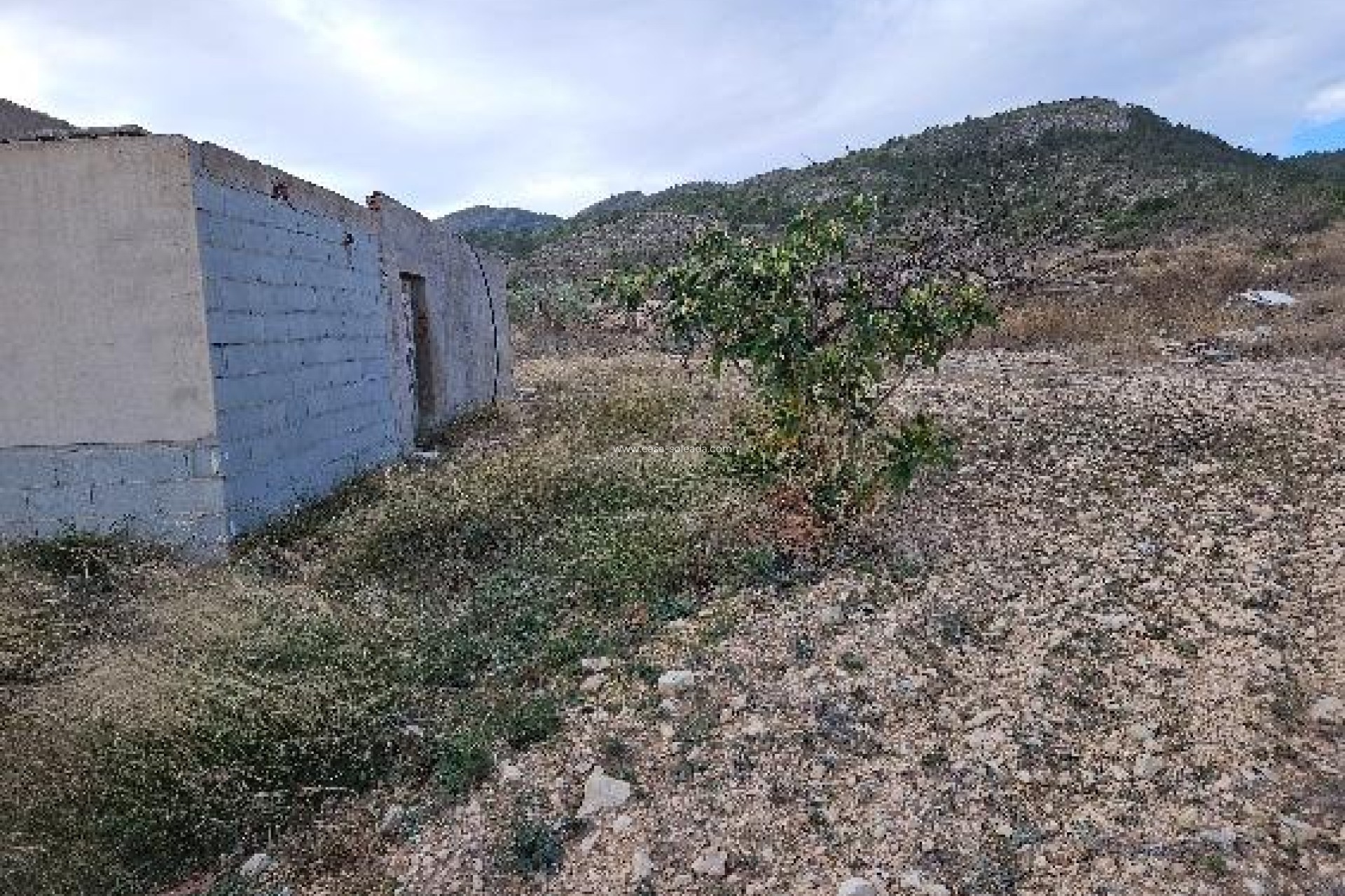 Revente - Villa - Monóvar - 03640
