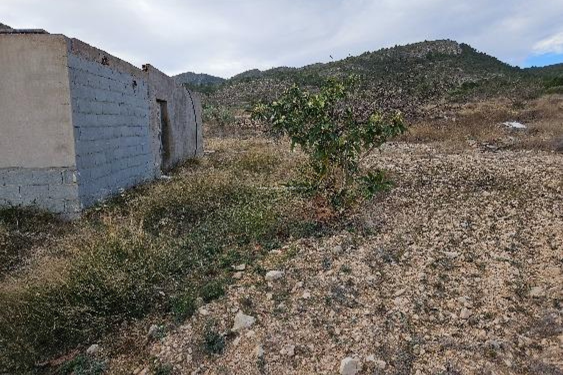 Revente - Villa - Monóvar - 03640