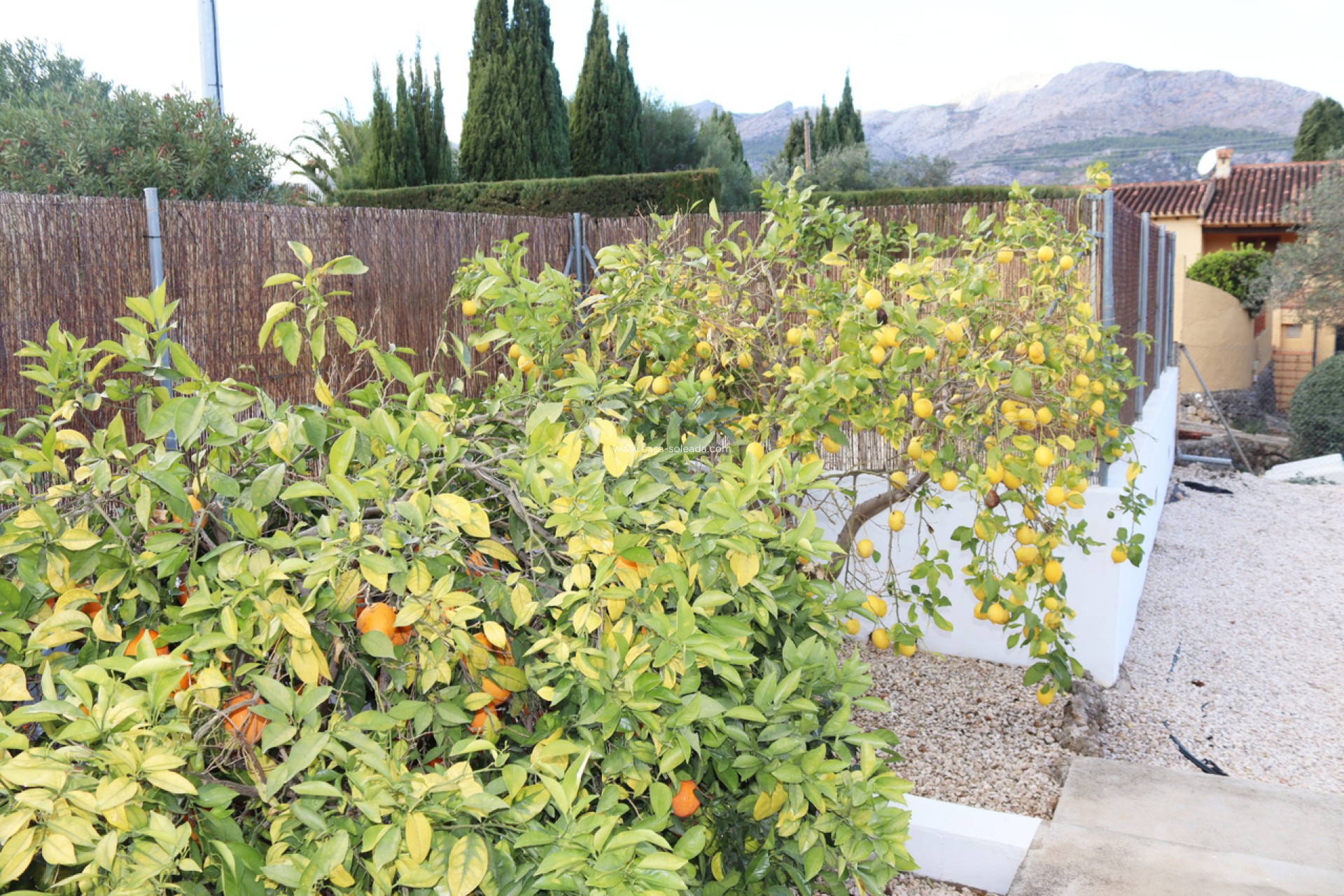 Revente - Villa - Orba - Inland