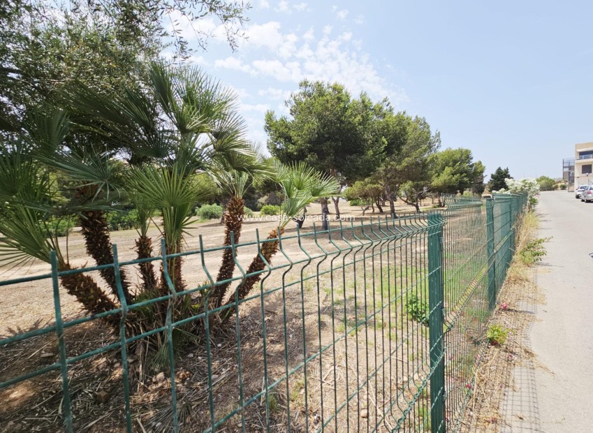 Revente - Villa - Orihuela Costa - La Regia