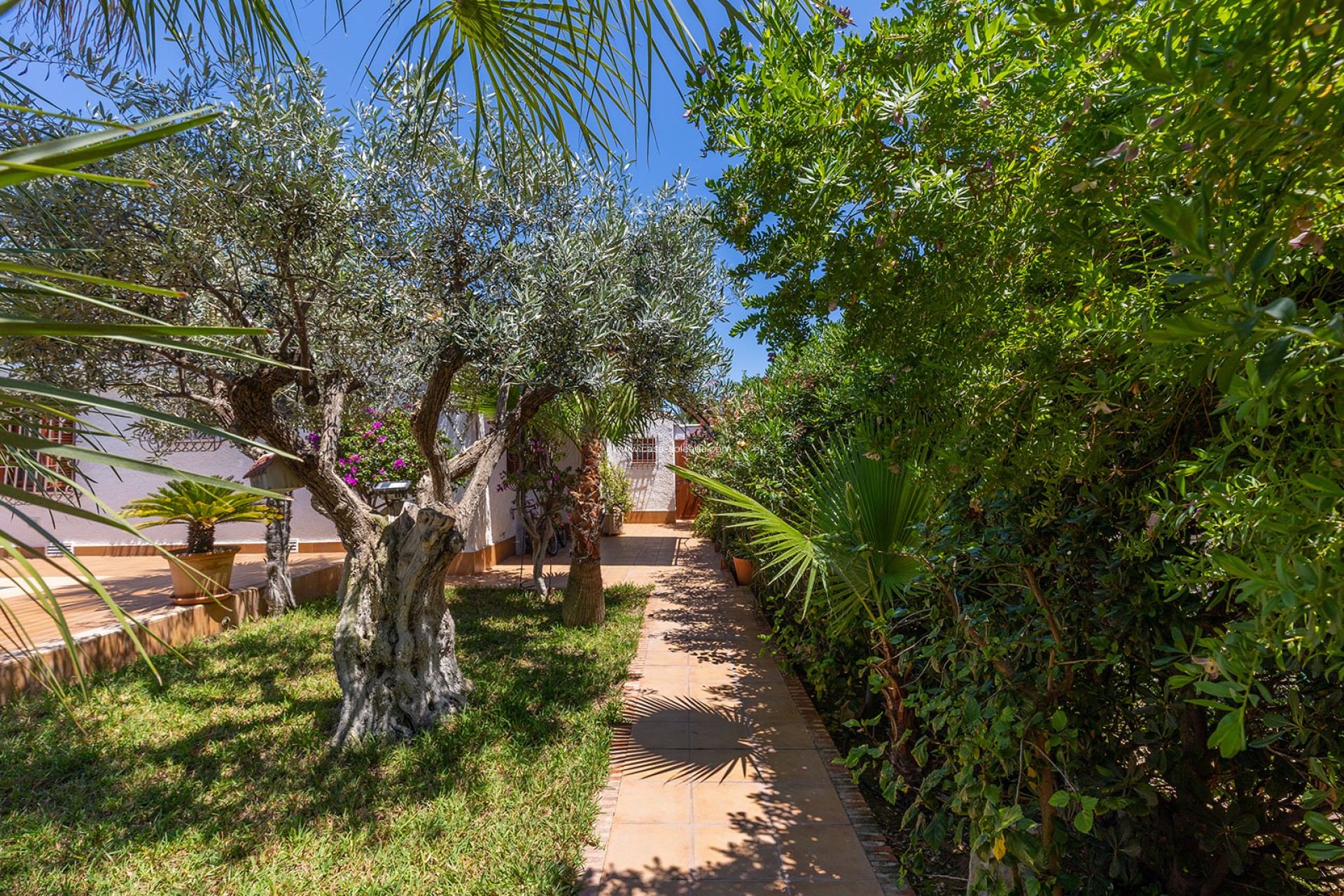 Revente - Villa - Orihuela - Inland