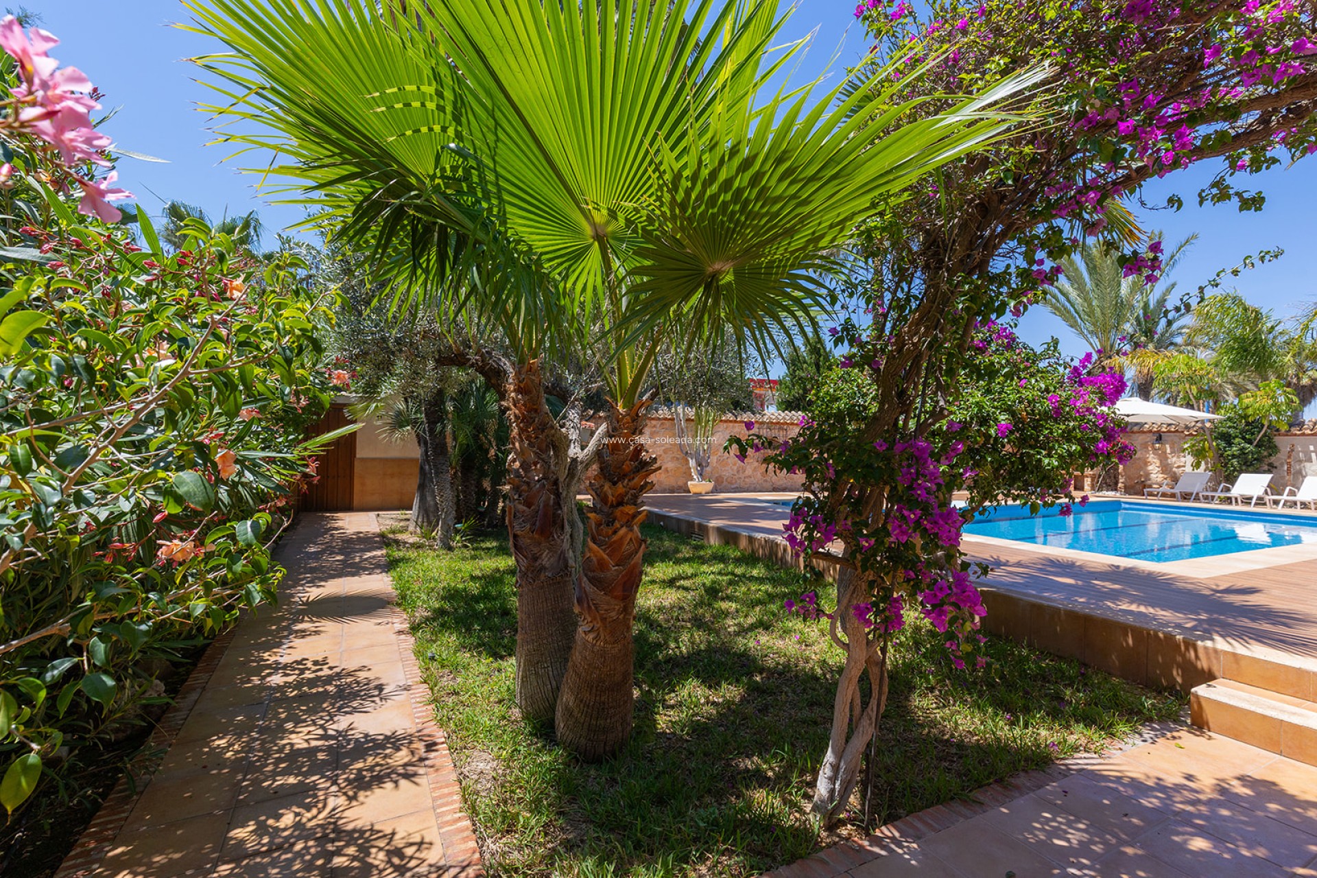 Revente - Villa - Orihuela - Inland