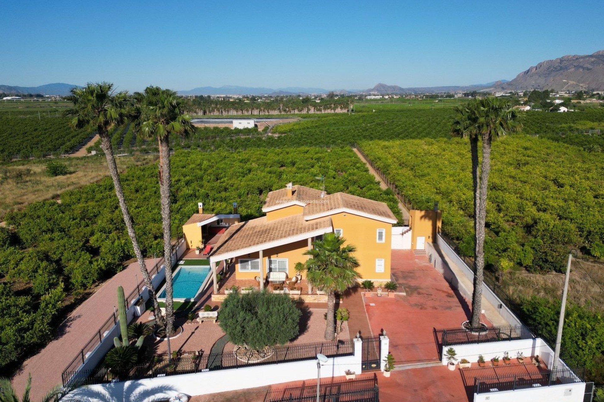 Revente - Villa - Orihuela - Orihuela Ciudad