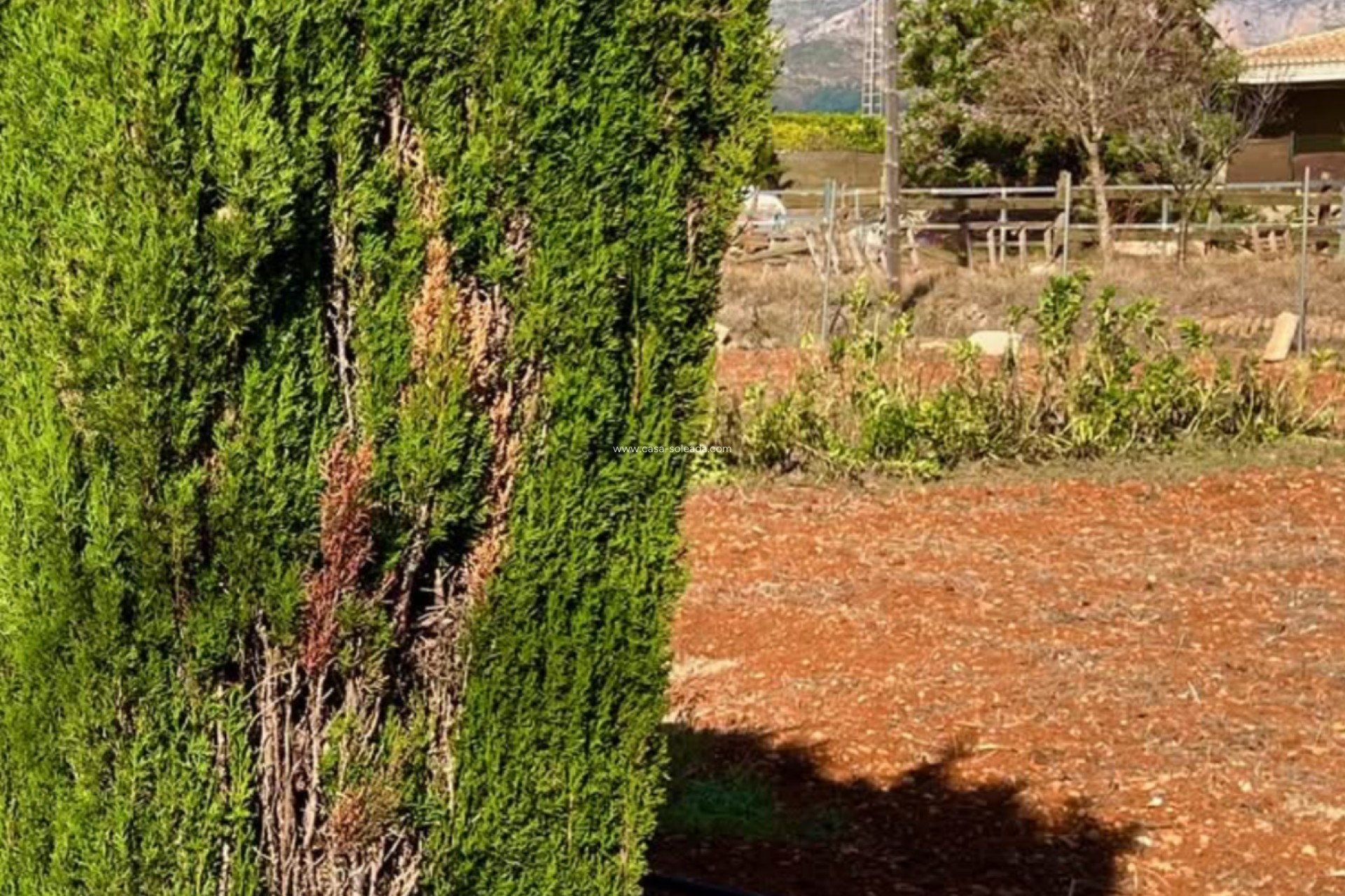 Revente - Villa - Pedreguer - Inland
