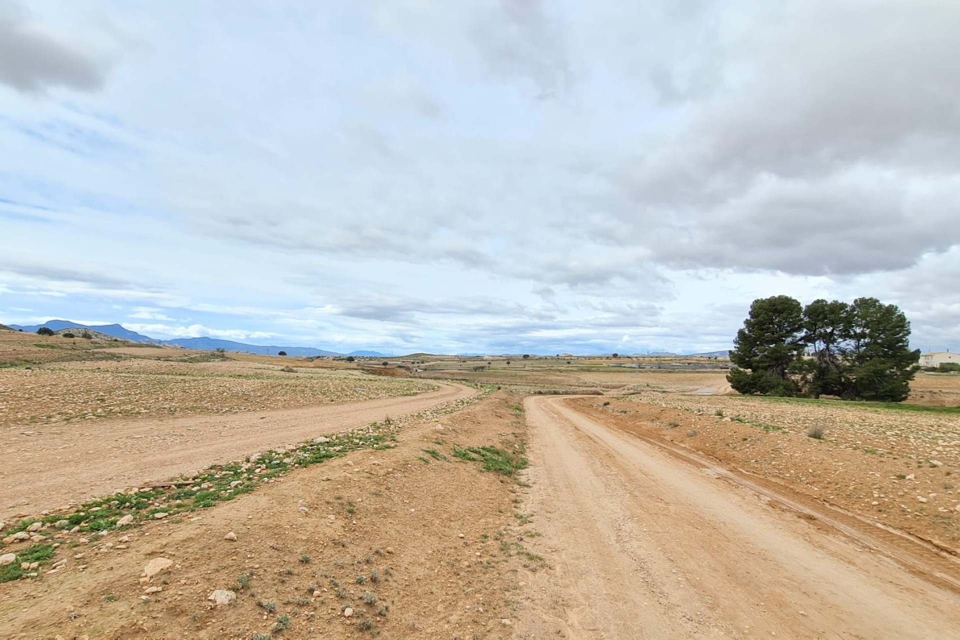 Revente - Villa - Torre Del Rico - Inland