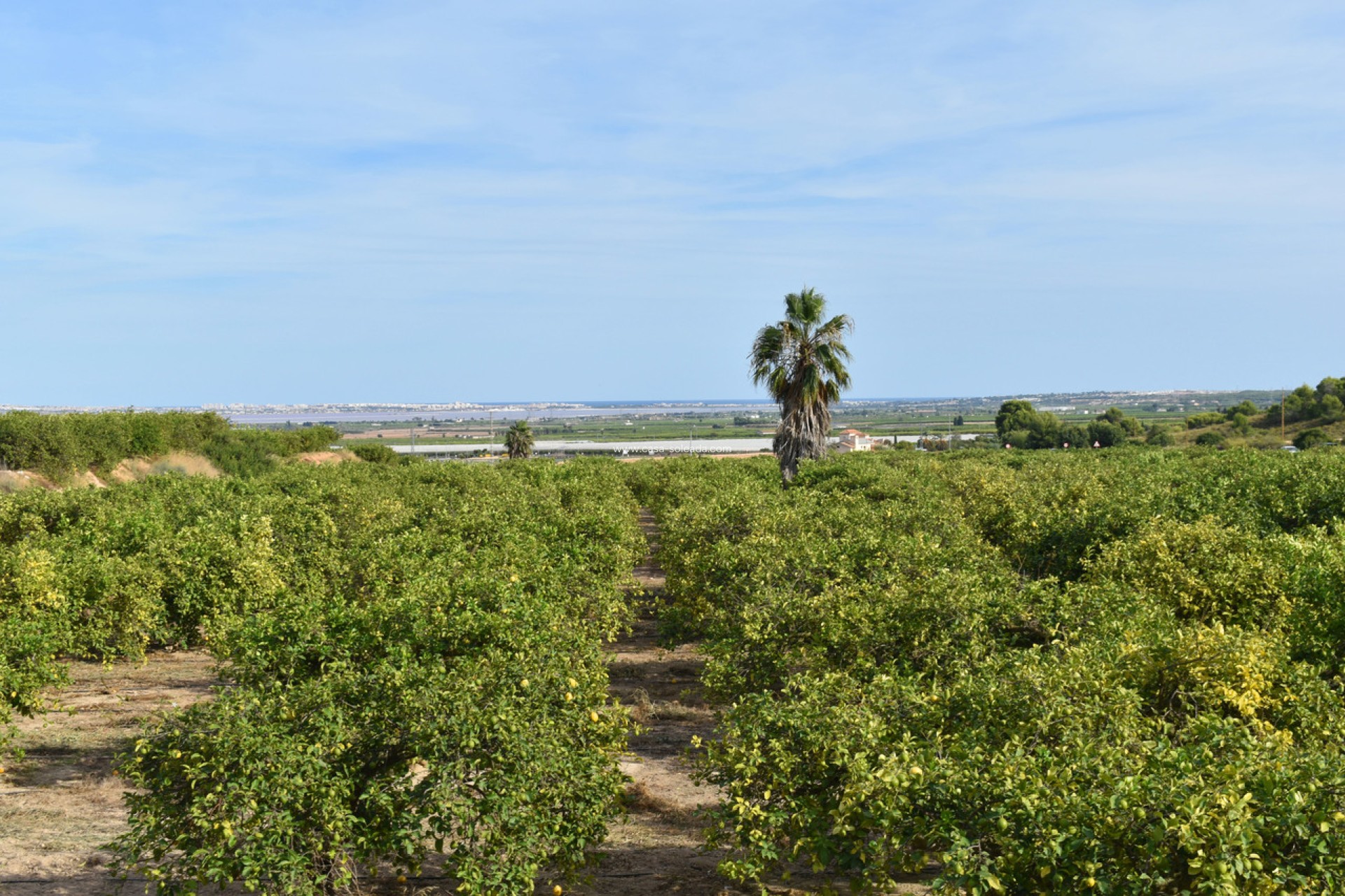 Revente - Villa - Torremendo - Costa Blanca