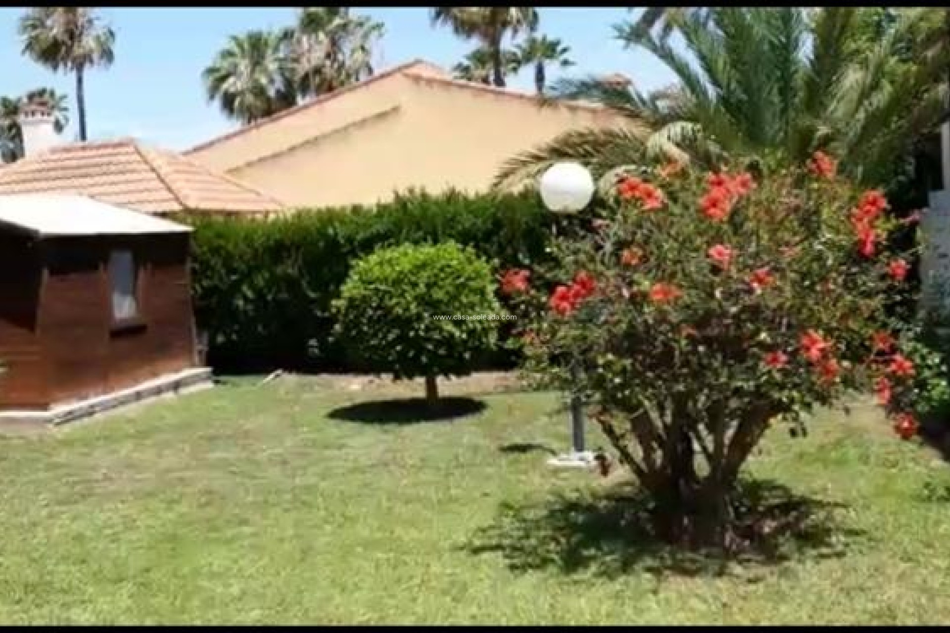 Revente - Villa - Torrevieja - Costa Blanca