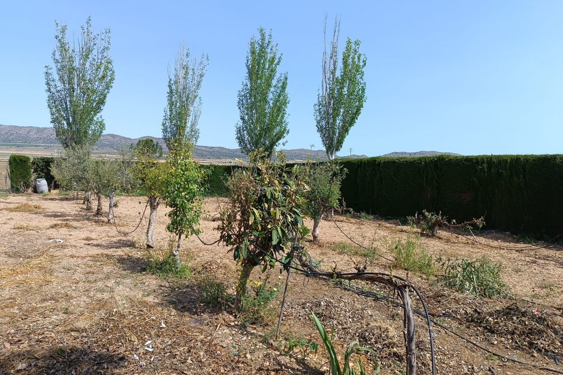 Revente - Villa - Yecla - Inland