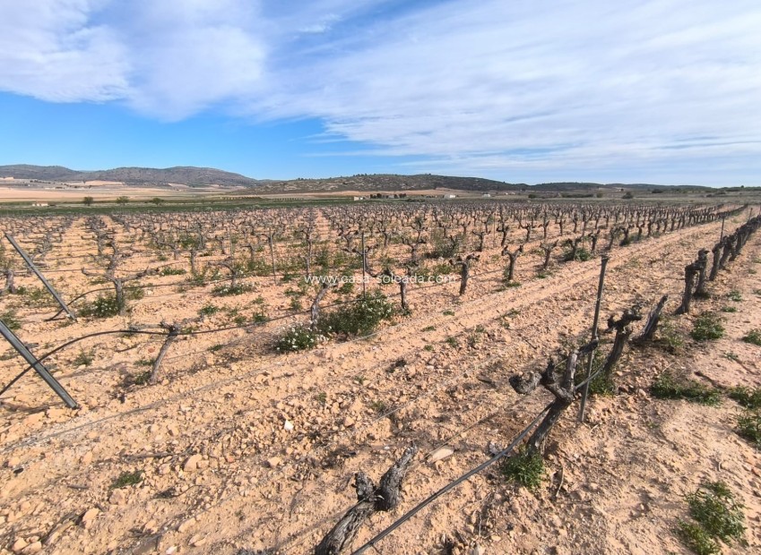 Revente - Villa - Yecla - Inland