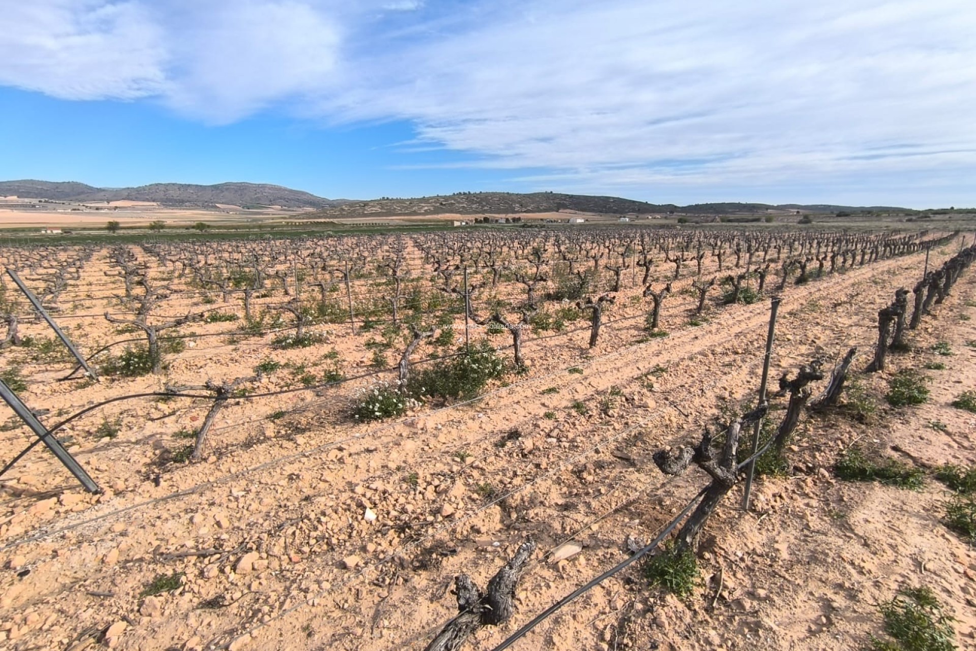 Revente - Villa - Yecla - Inland