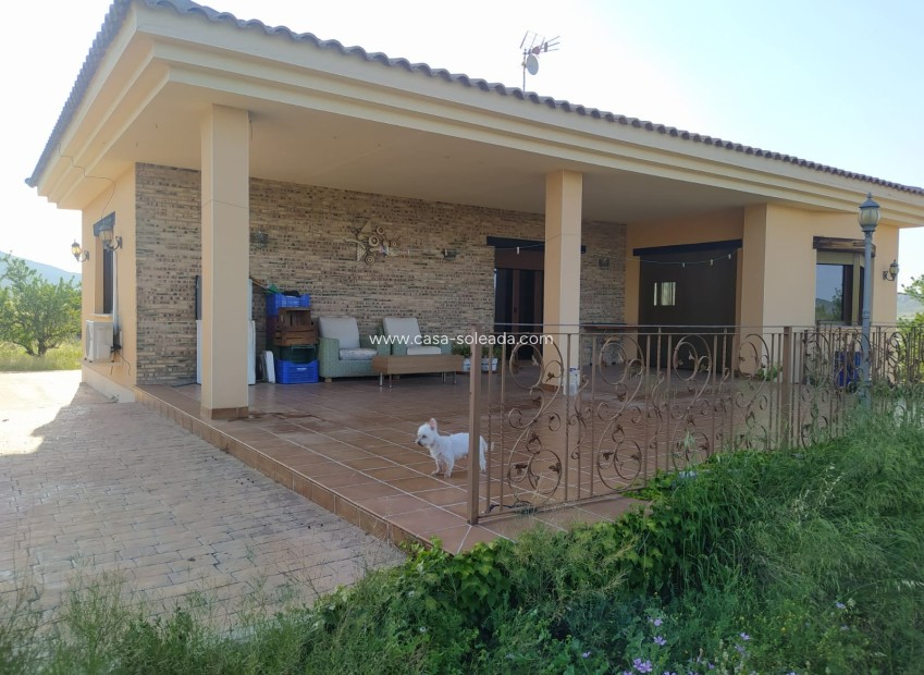 Revente - Villa - Yecla - Inland