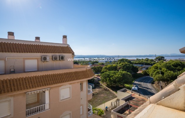 Studio - Resale - Torrevieja - Beach