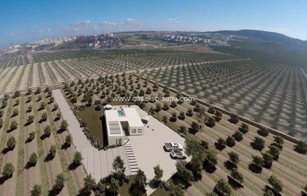 Villa - New Build - Algorfa - Algorfa