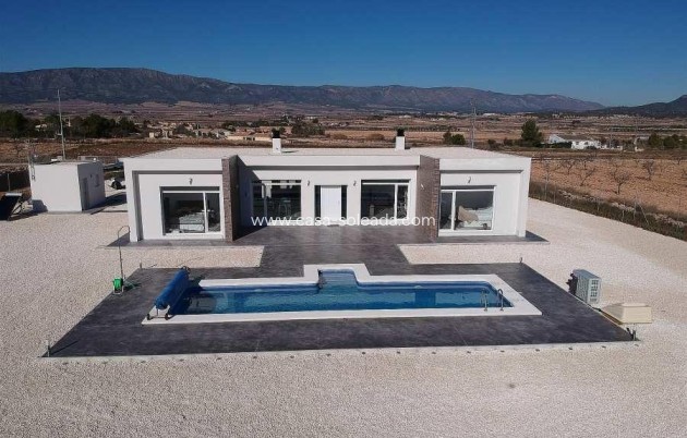 Villa - New Build - Pinoso - Pinoso