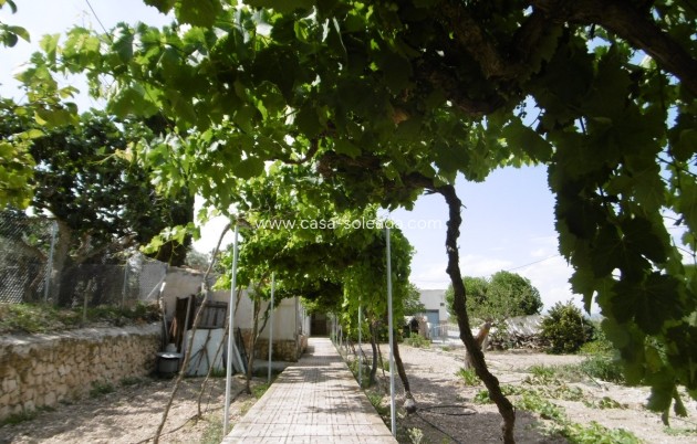 Villa - Resale - Yecla - Inland