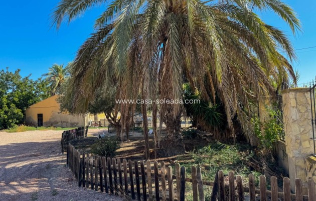 Villa - Reventa - Crevillente - Inland