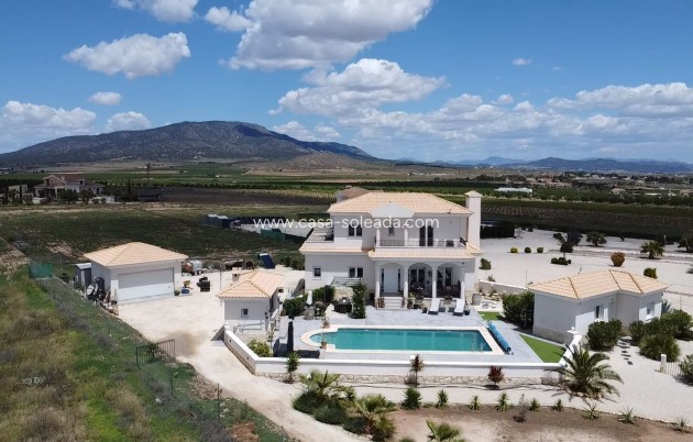 Villa - Revente - Pinoso - Pinoso