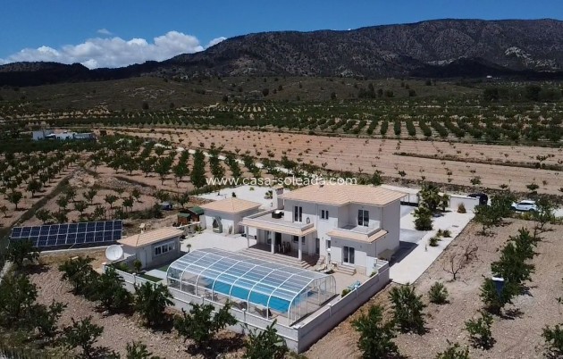 Villa - Revente - Pinoso - Pinoso