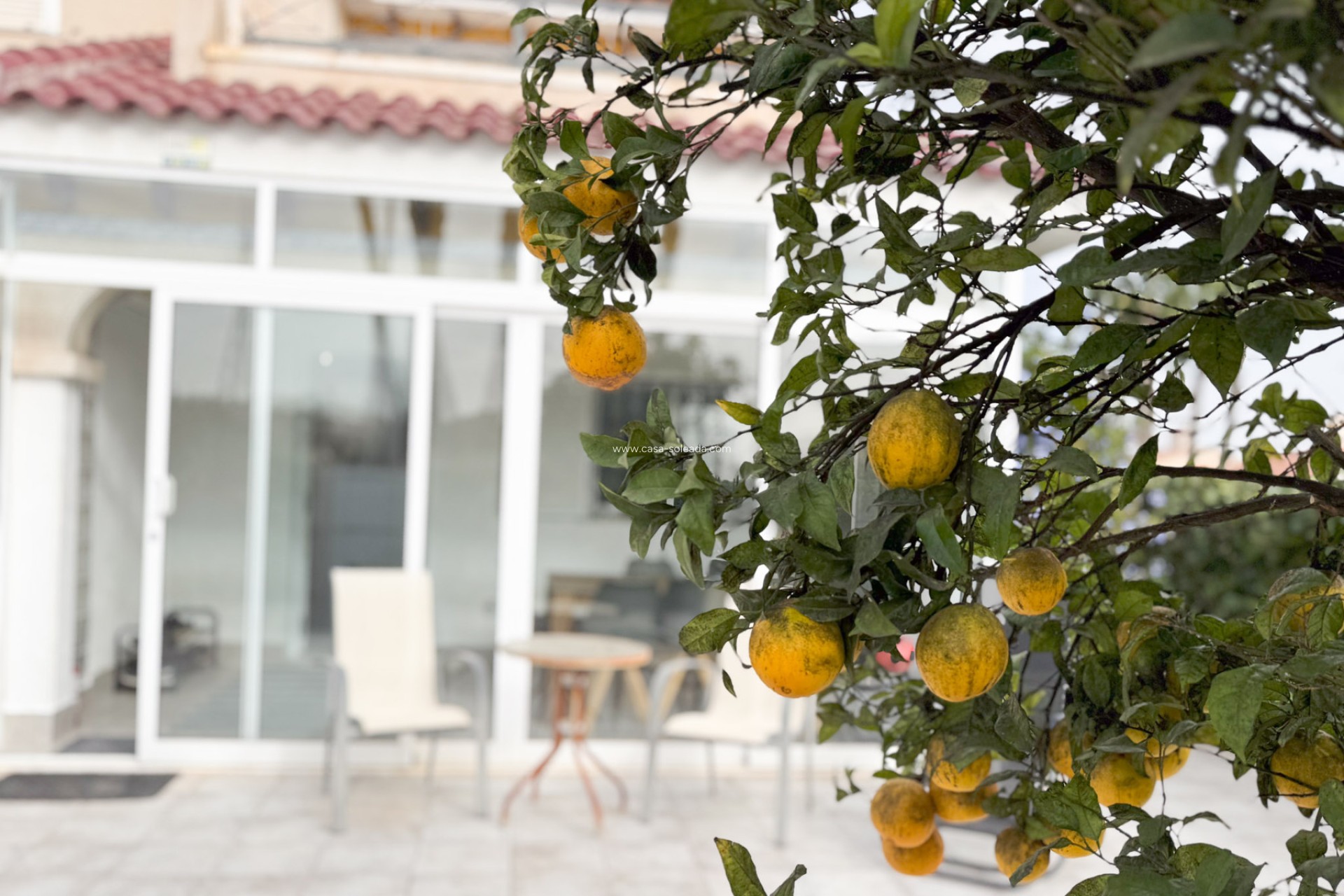 Wiederverkauf - Bungalow - Orihuela Costa - Costa Blanca