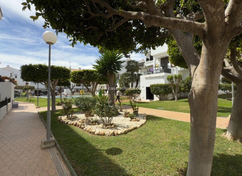 Wiederverkauf - Bungalow - Orihuela Costa - Playa Flamenca