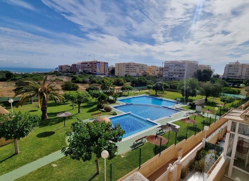 Wiederverkauf - Bungalow - Torrevieja