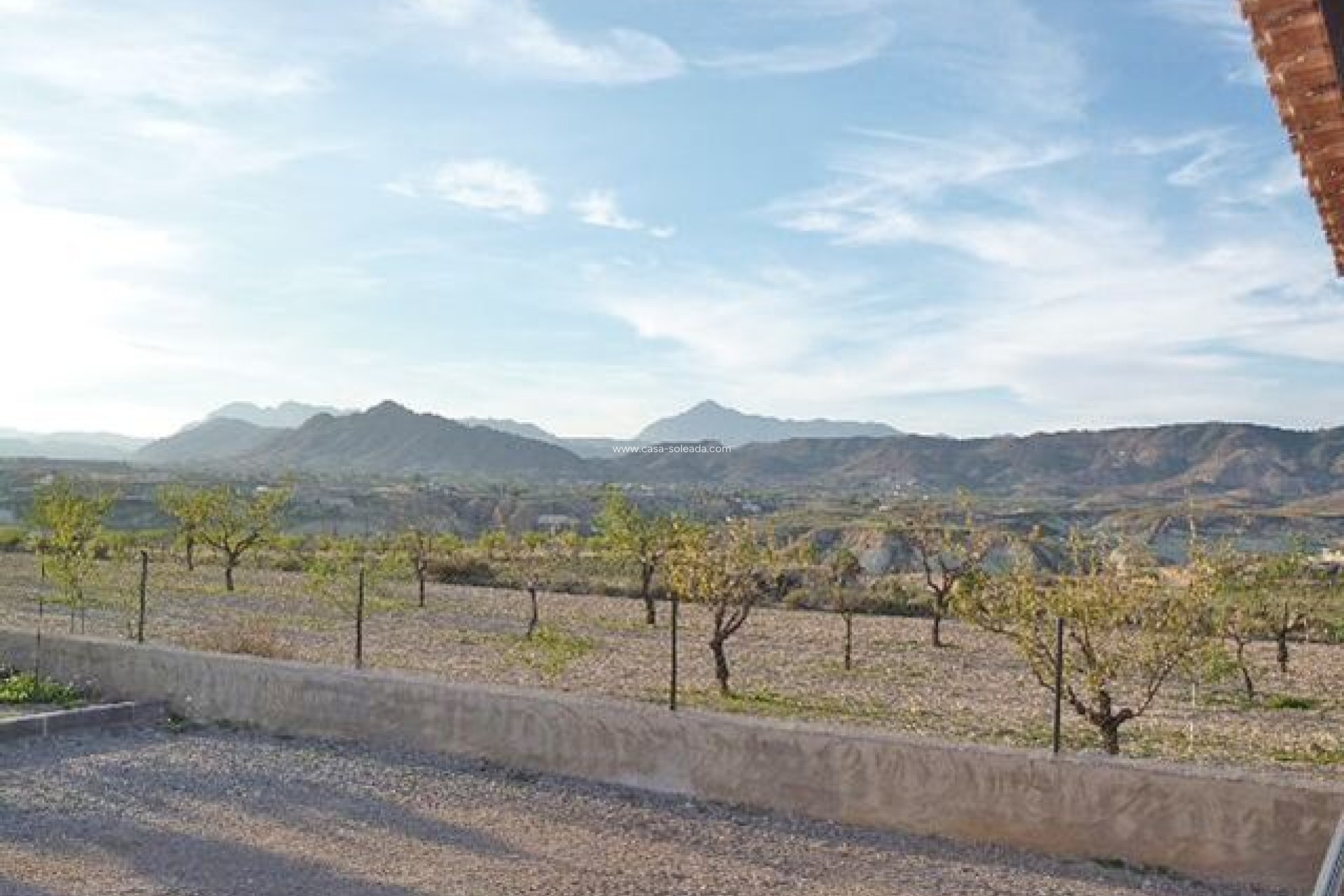 Wiederverkauf - Country Property/Finca - Abanilla - Inland