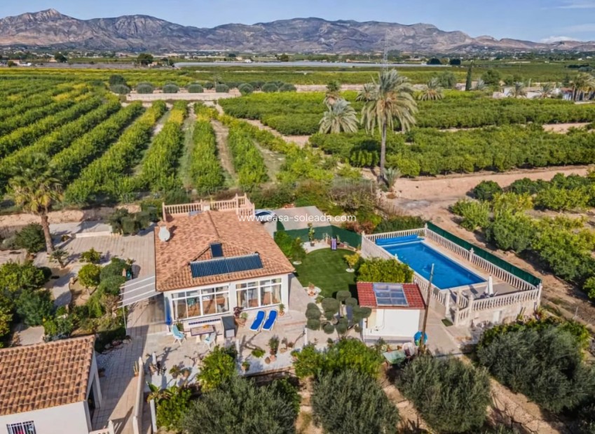 Wiederverkauf - Country Property/Finca - Albatera - Inland