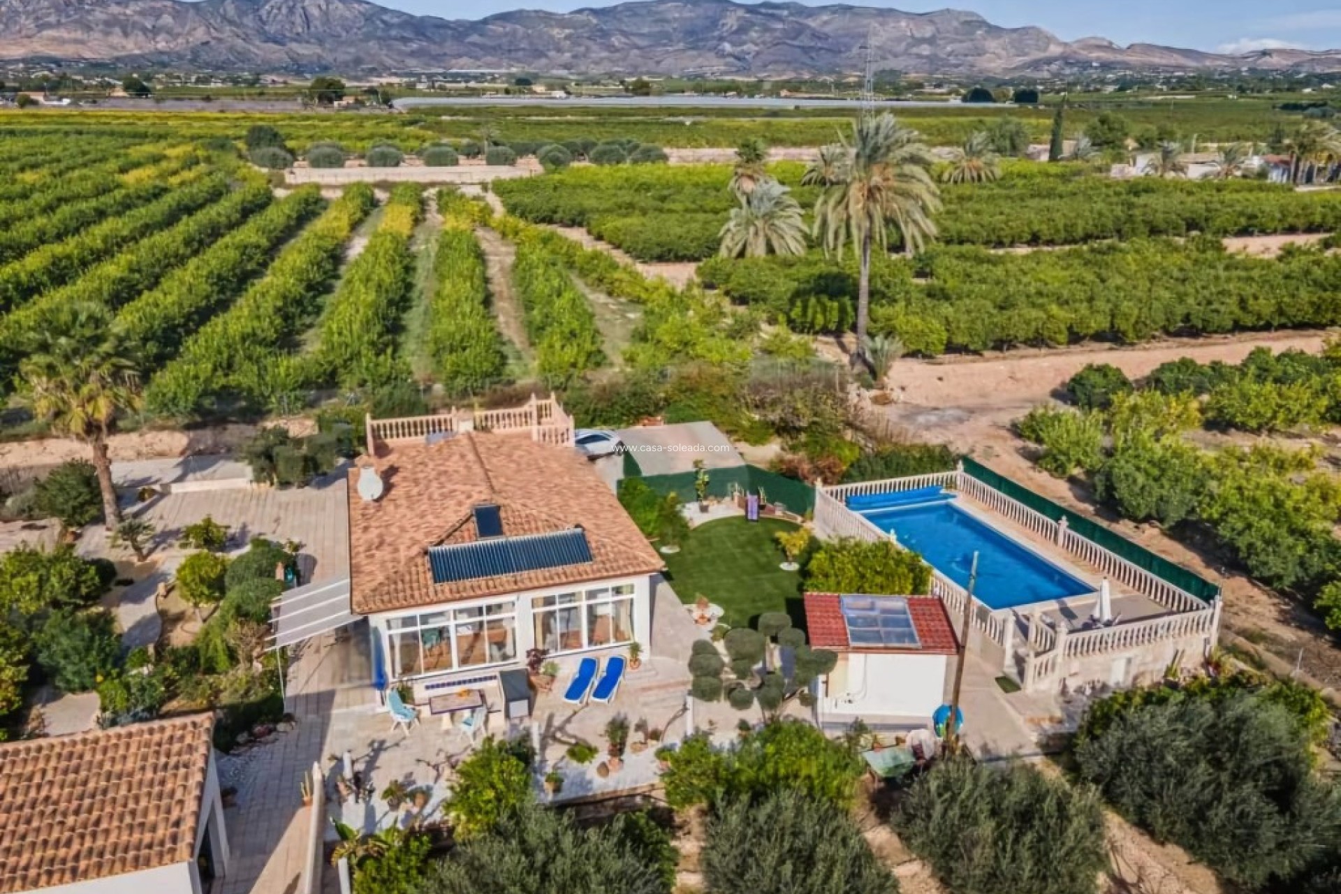 Wiederverkauf - Country Property/Finca - Albatera - Inland