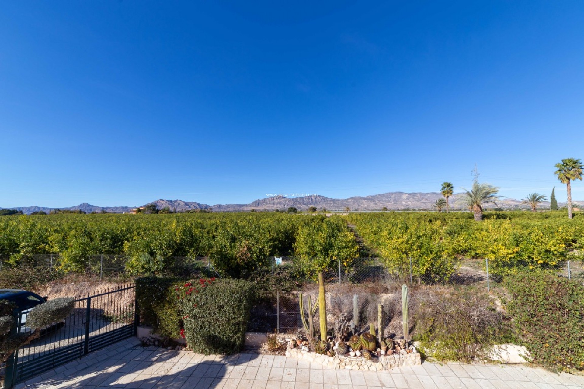 Wiederverkauf - Country Property/Finca - Albatera - Inland