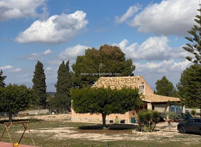 Wiederverkauf - Country Property/Finca - Algorfa - Afueras