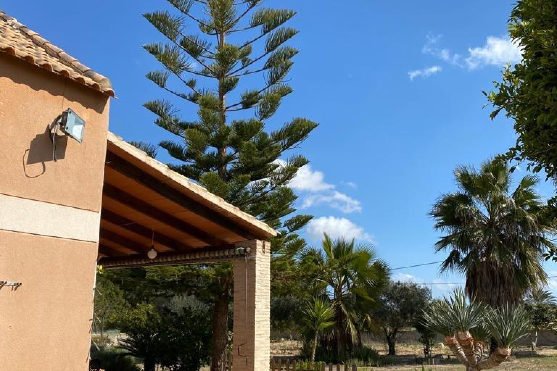 Wiederverkauf - Country Property/Finca - Algorfa - Afueras