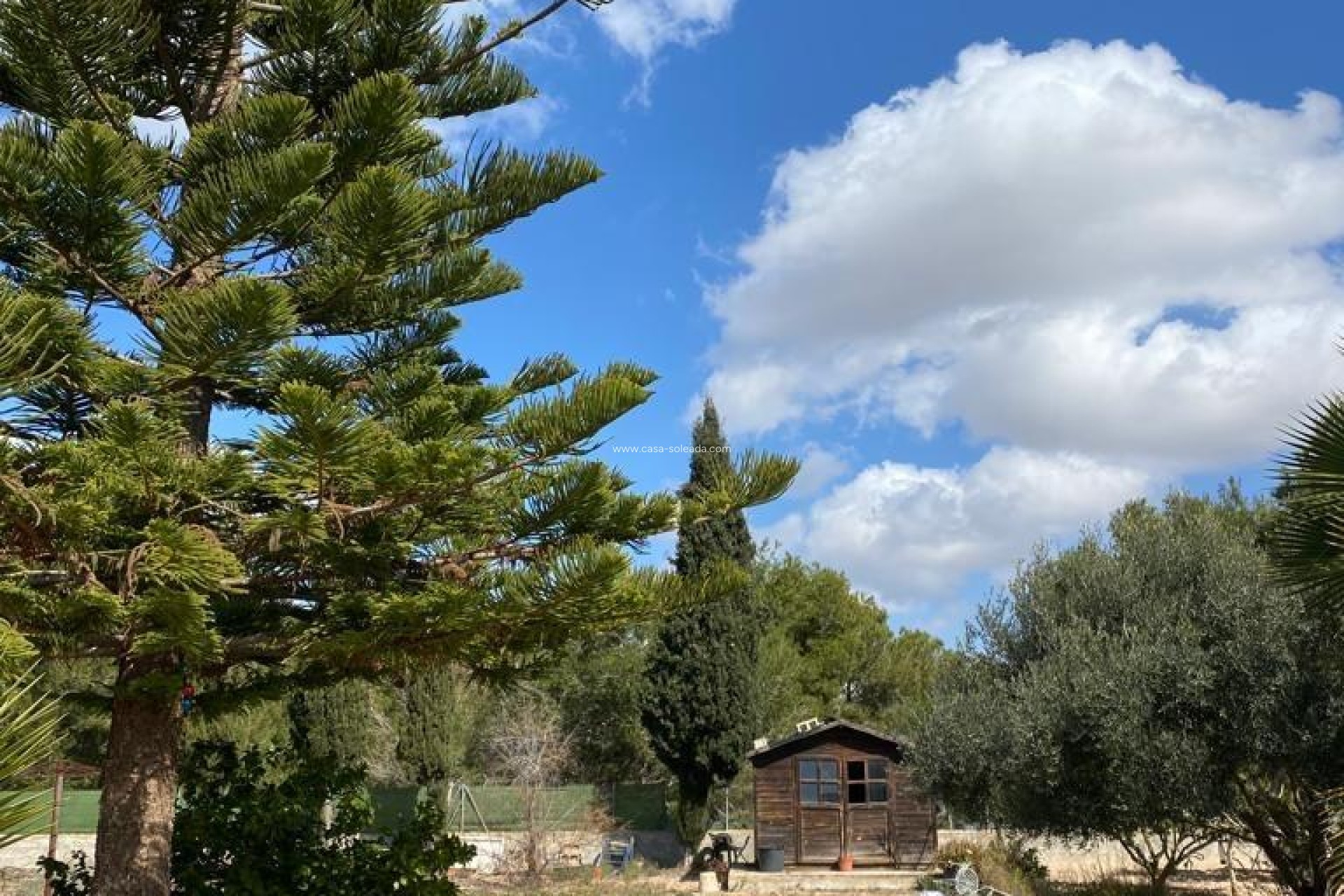 Wiederverkauf - Country Property/Finca - Algorfa - Afueras