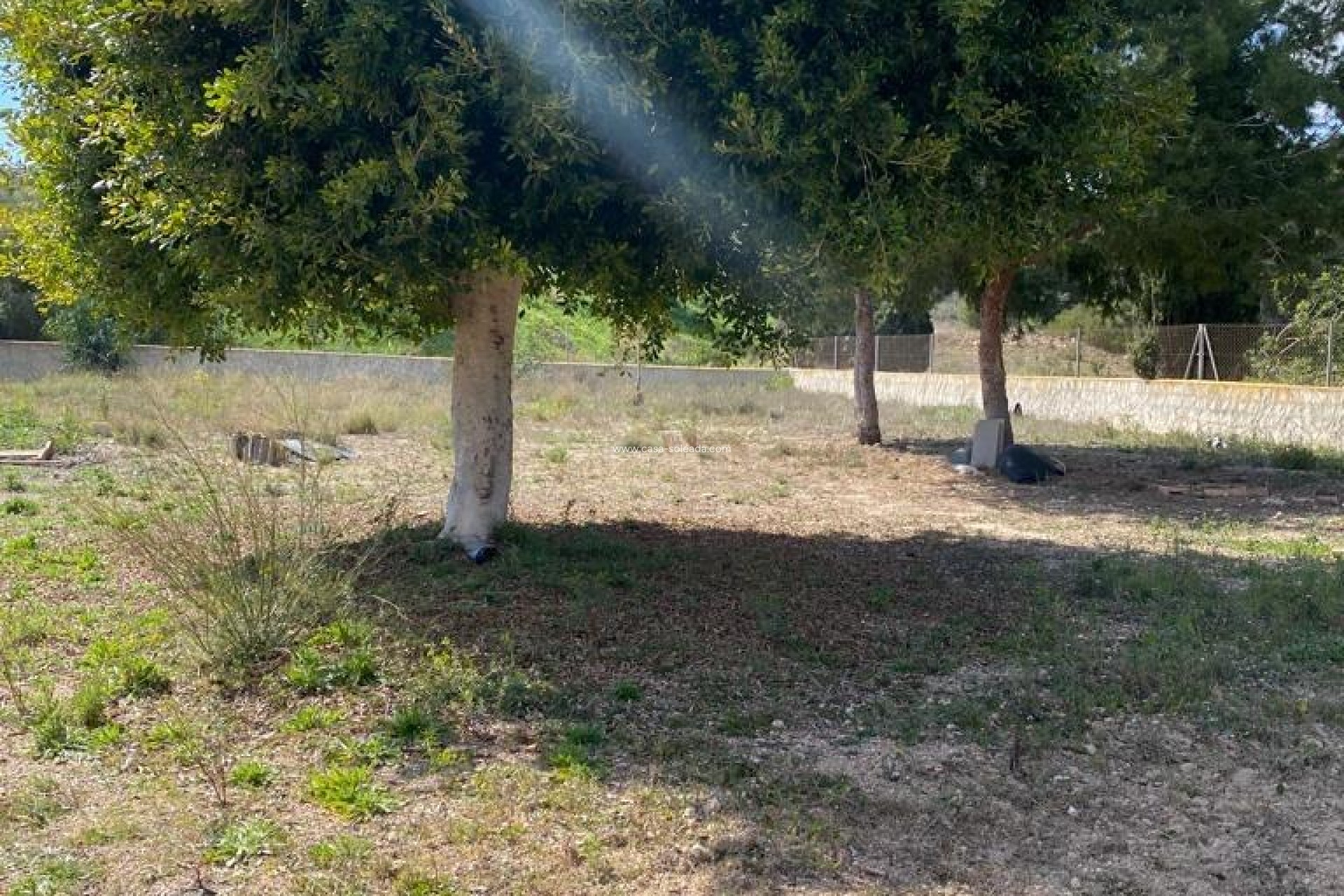 Wiederverkauf - Country Property/Finca - Algorfa - Afueras