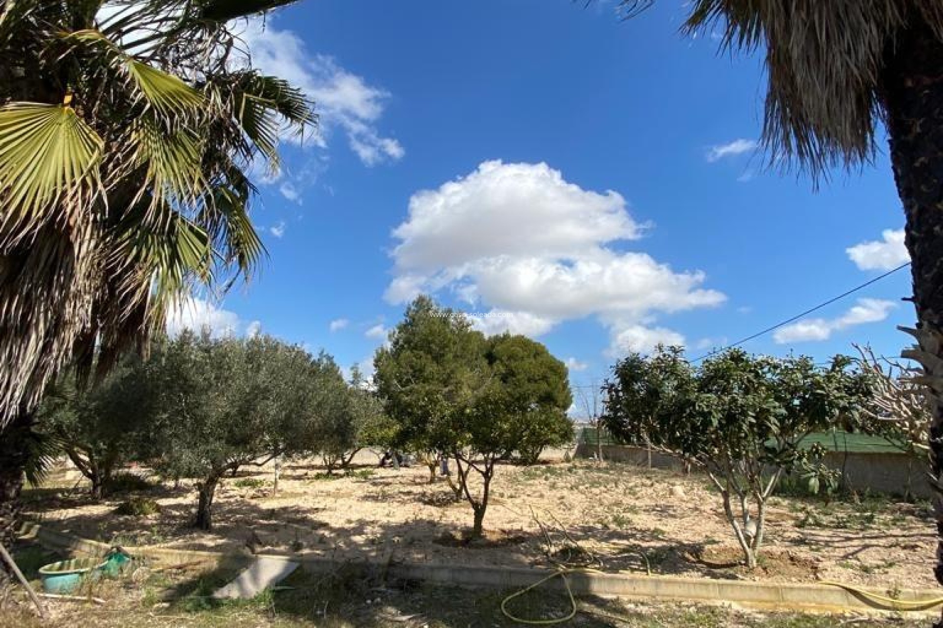 Wiederverkauf - Country Property/Finca - Algorfa - Afueras