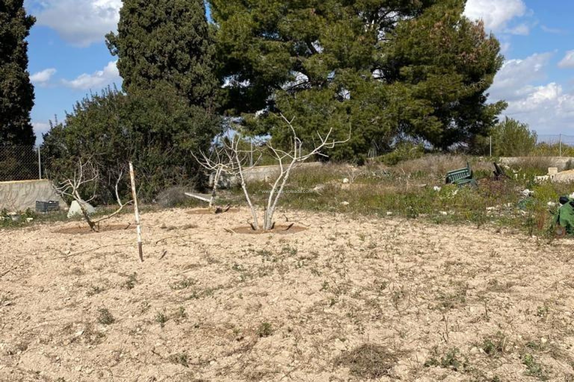 Wiederverkauf - Country Property/Finca - Algorfa - Afueras