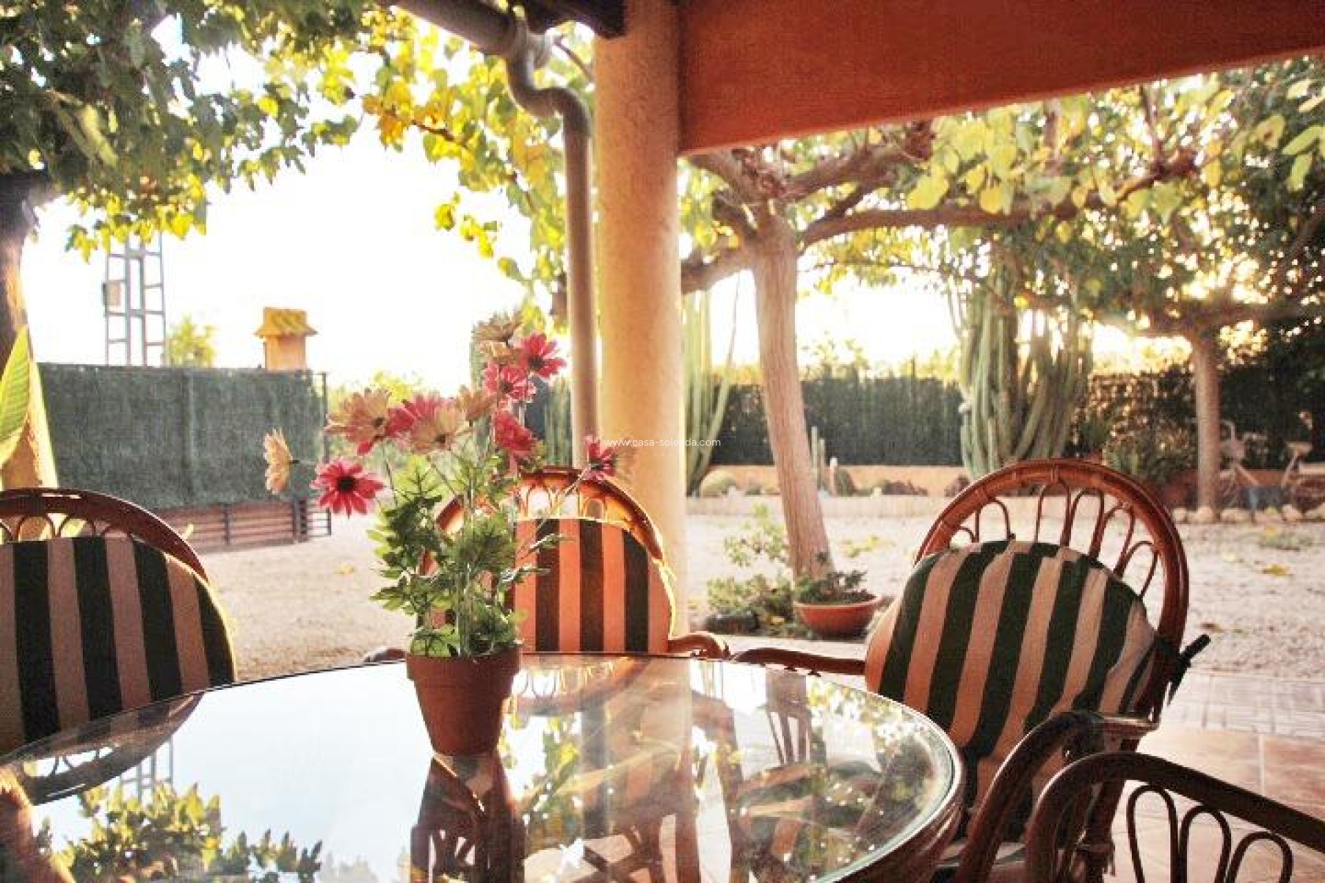 Wiederverkauf - Country Property/Finca - Almoradí - Comunidad Valenciana