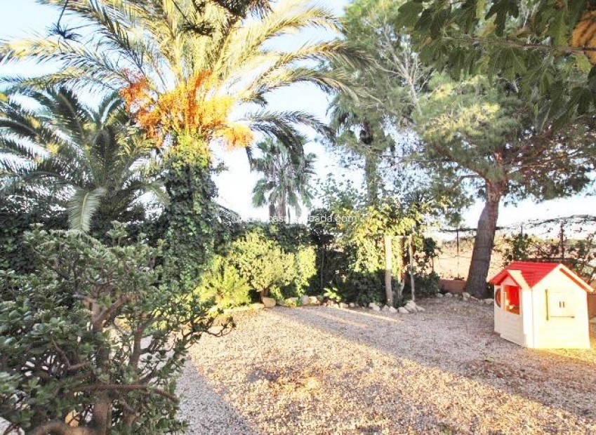 Wiederverkauf - Country Property/Finca - Almoradí - Comunidad Valenciana