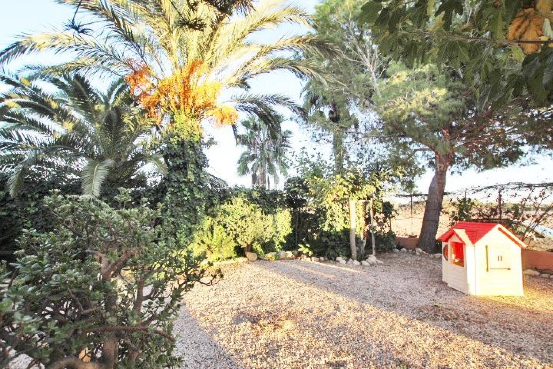 Wiederverkauf - Country Property/Finca - Almoradí - Comunidad Valenciana