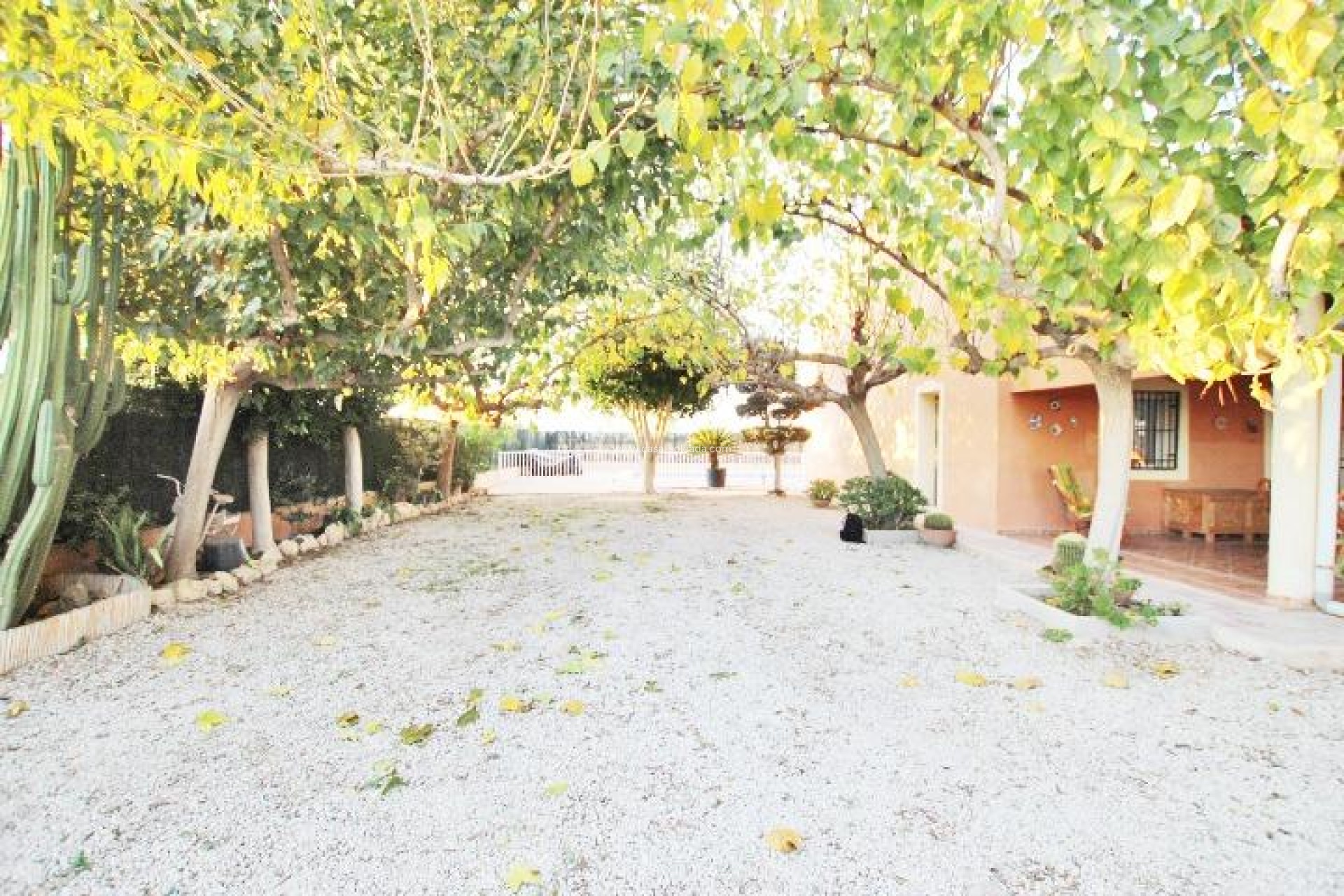 Wiederverkauf - Country Property/Finca - Almoradí - Comunidad Valenciana