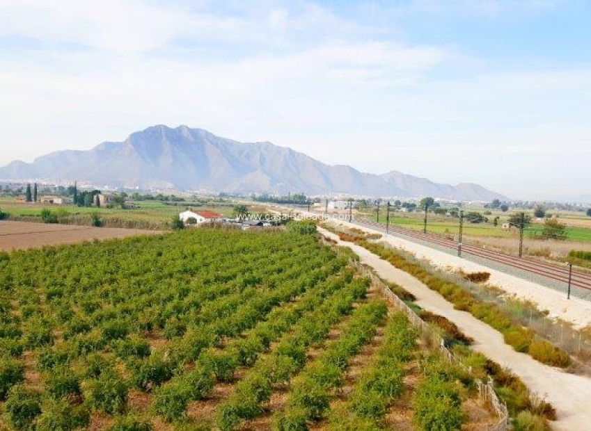 Wiederverkauf - Country Property/Finca - Callosa de Segura - Inland