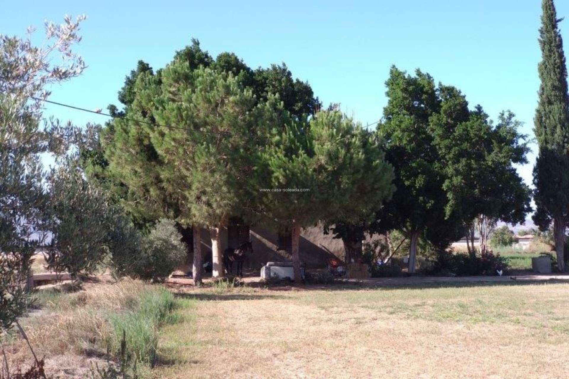 Wiederverkauf - Country Property/Finca - Callosa de Segura - Inland