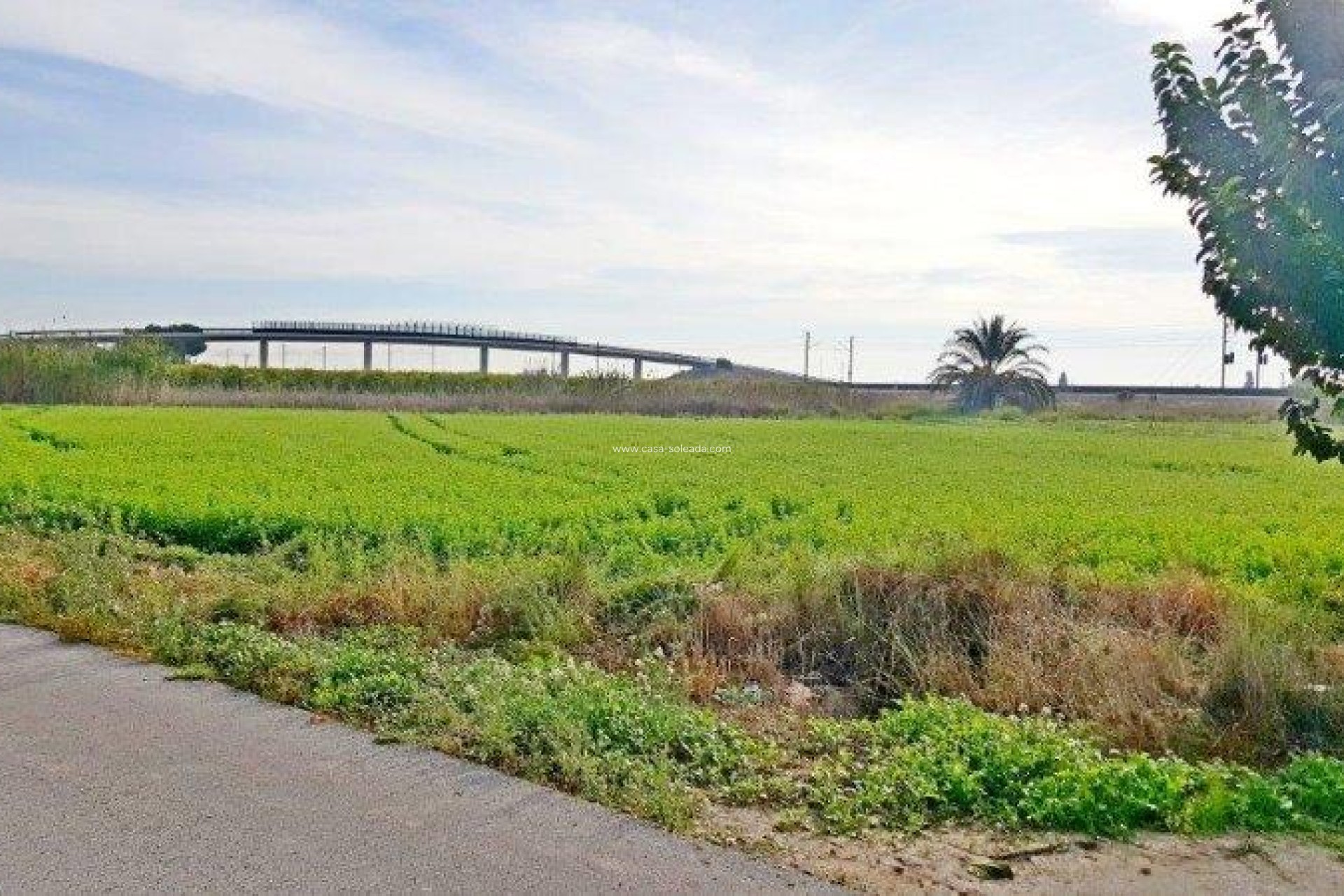Wiederverkauf - Country Property/Finca - Callosa de Segura - Inland