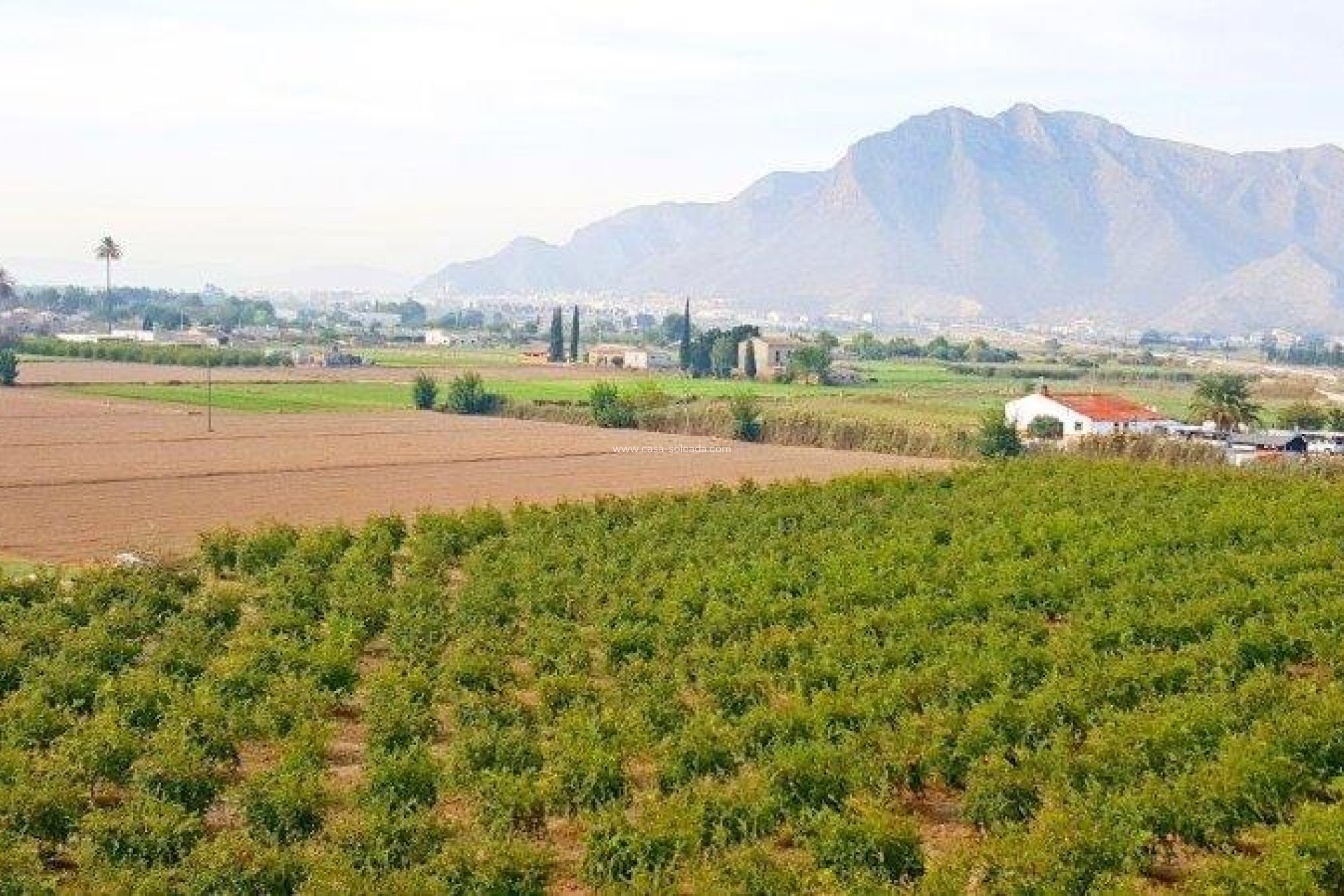 Wiederverkauf - Country Property/Finca - Callosa de Segura - Inland