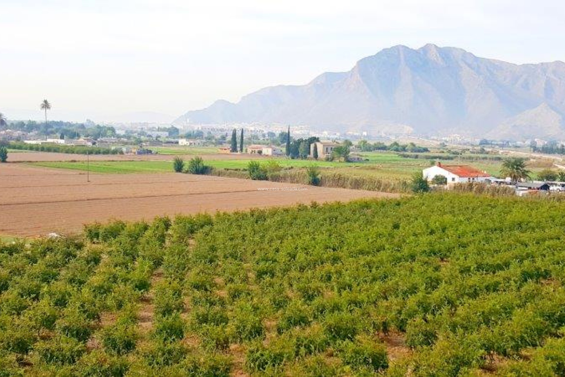Wiederverkauf - Country Property/Finca - Callosa de Segura - Inland